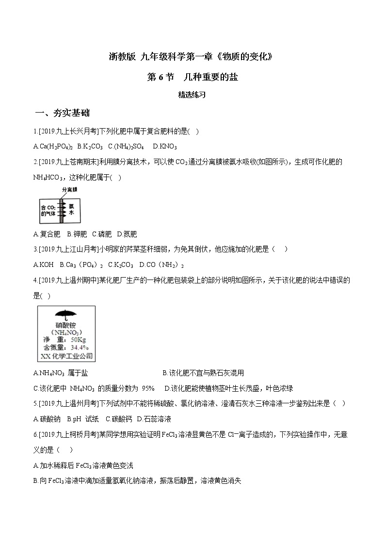 1.6 几种重要的盐（第4课时）（精选练习）-九年级科学上册（浙教版）01