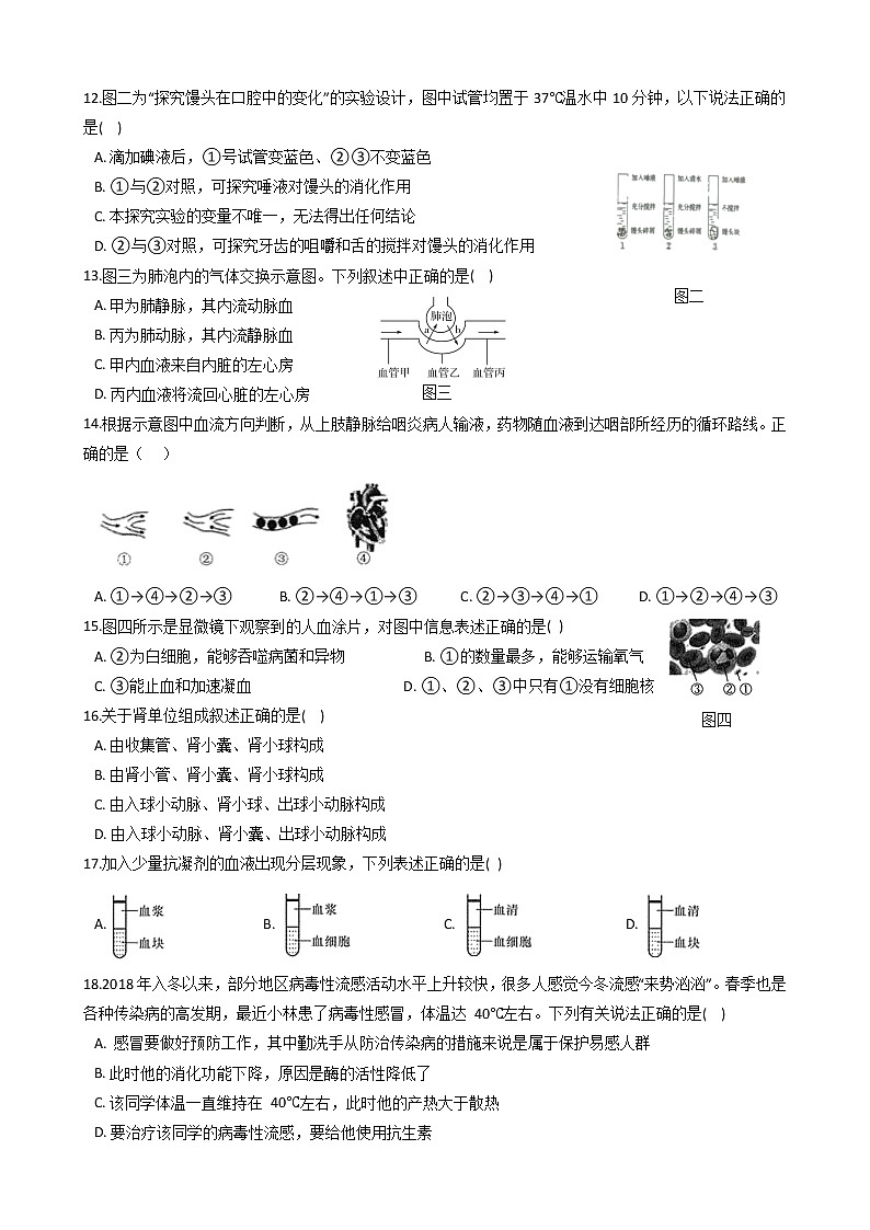 2022年华师大科学八上人体的物质和能量的转化同步练习02