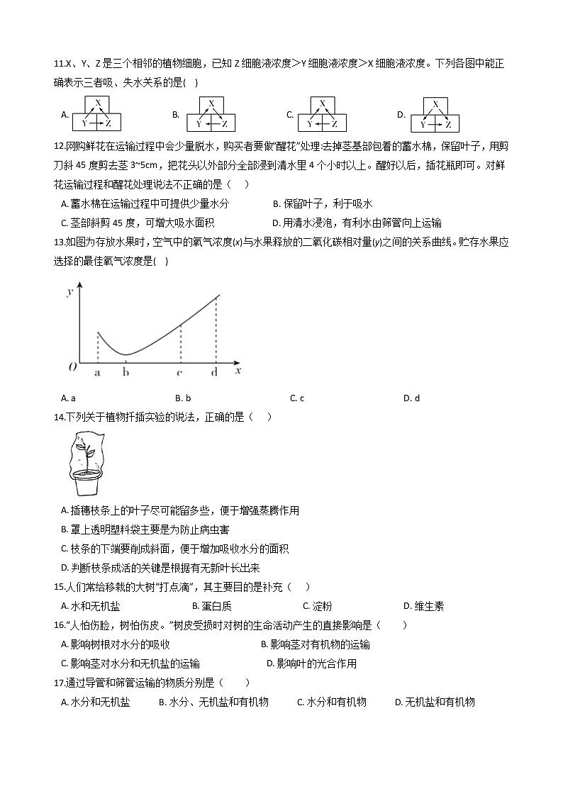 2022年华师大科学八上植物的物质和能量的转化同步练习第2页