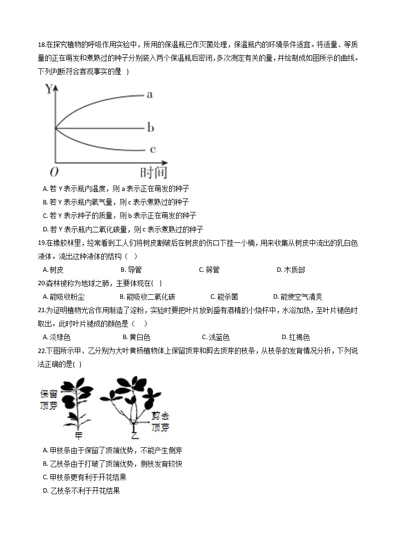 2022年华师大科学八上植物的物质和能量的转化同步练习第3页