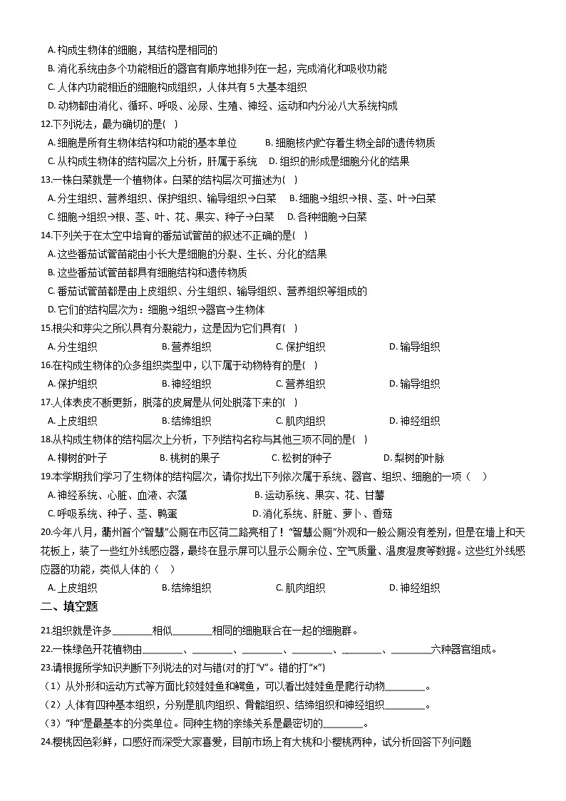 初中科学华师大生物的结构层次(后两节)同步练习02