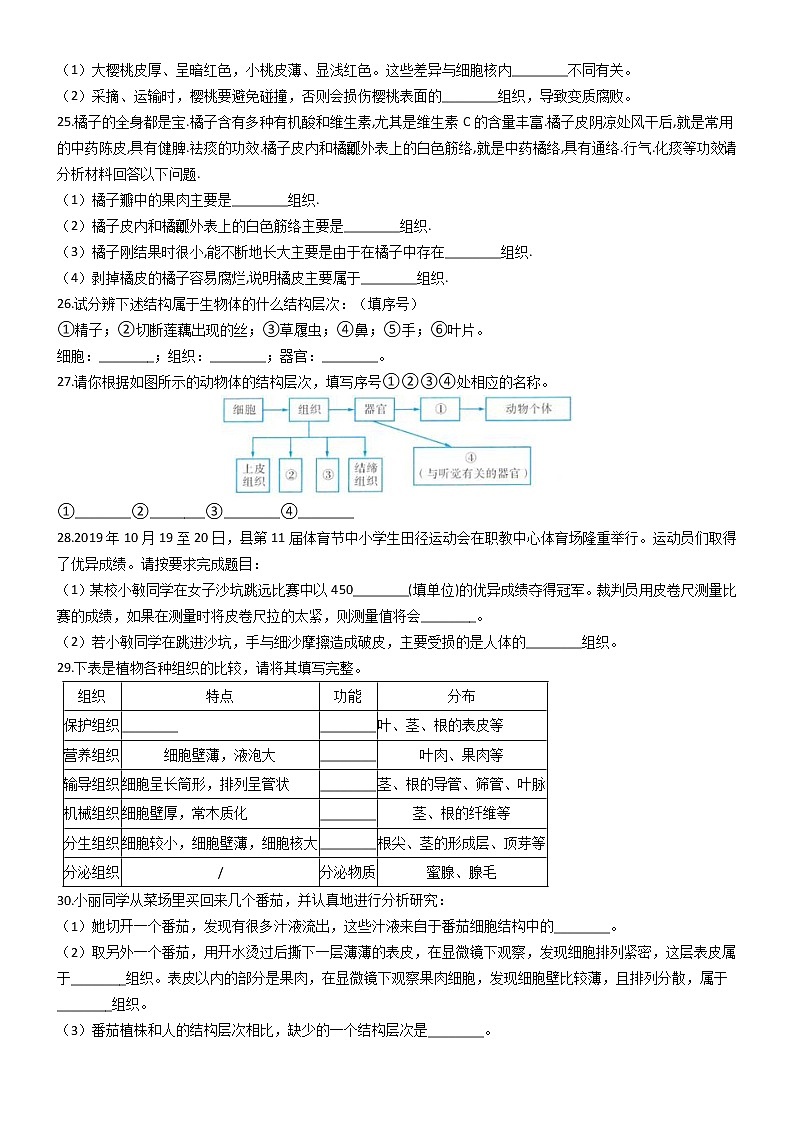 初中科学华师大生物的结构层次(后两节)同步练习03