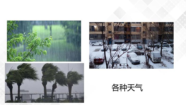 2.5 天气预报-八年级科学上册 同步教学课件+练习(浙教版)02