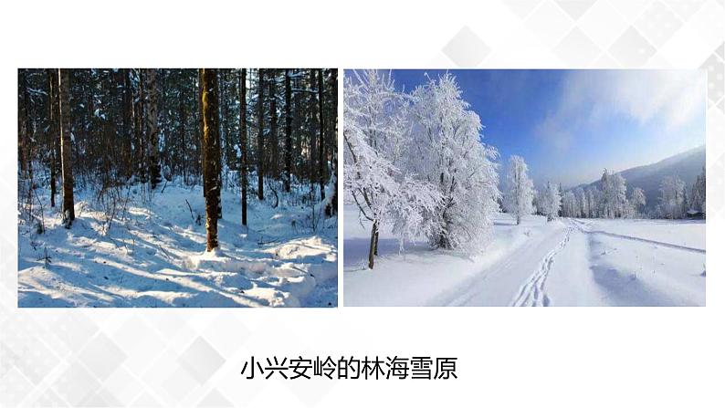2.6 气候和影响气候的因素-八年级科学上册 同步教学课件+练习(浙教版)05