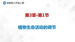 3.1 植物生命活動的調(diào)節(jié)-八年級科學上冊  同步教學課件+練習(浙教版)