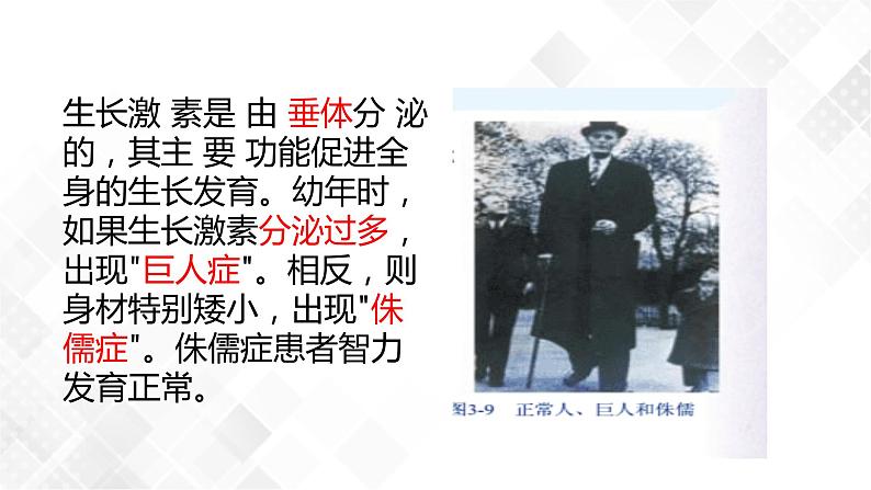 3.2 人体的激素调节-八年级科学上册 同步教学课件+练习(浙教版)05