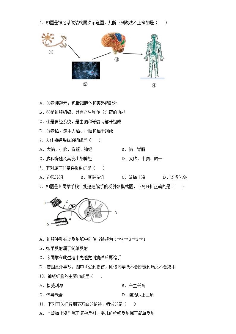 3.3 神经调节-八年级科学上册  同步教学课件+练习(浙教版)02