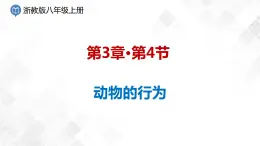3.4 動物的行為-八年級科學上冊  同步教學課件+練習(浙教版)