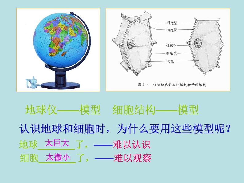 【浙教版】科学八下:2.1《模型、符号的建立与作用》ppt教学课件第3页