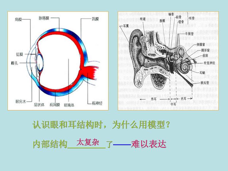 【浙教版】科学八下:2.1《模型、符号的建立与作用》ppt教学课件第4页