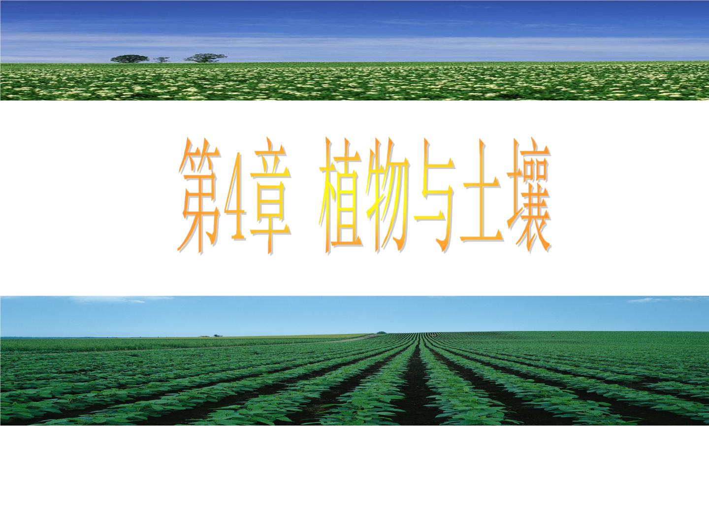 初中科学浙教版八年级下册第1节 土壤的成分图片课件ppt