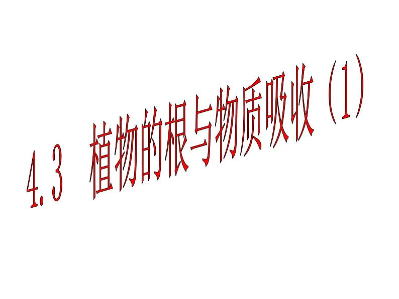 【浙教版】科学八下:4.3《植物的根与物质吸收》ppt教学课件01