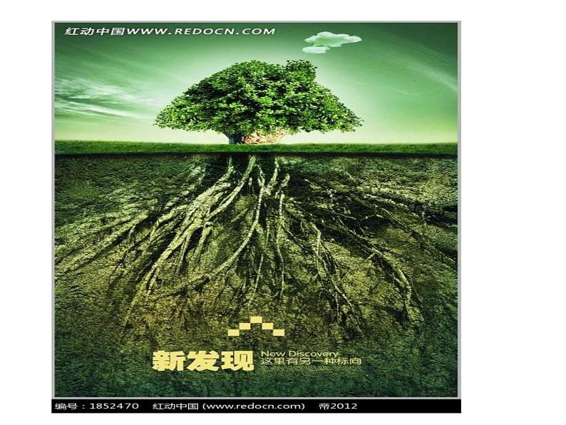 【浙教版】科学八下:4.3《植物的根与物质吸收》ppt教学课件08