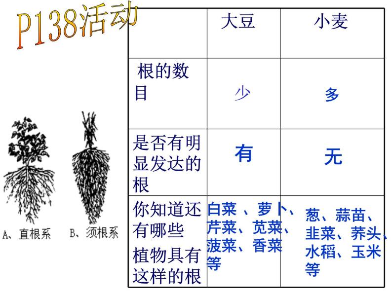 【浙教版】科学八下：4.3《植物的根与物质吸收》ppt课件（1）04