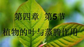 浙教版八年级下册第5节 植物的叶与蒸腾作用教学演示课件ppt