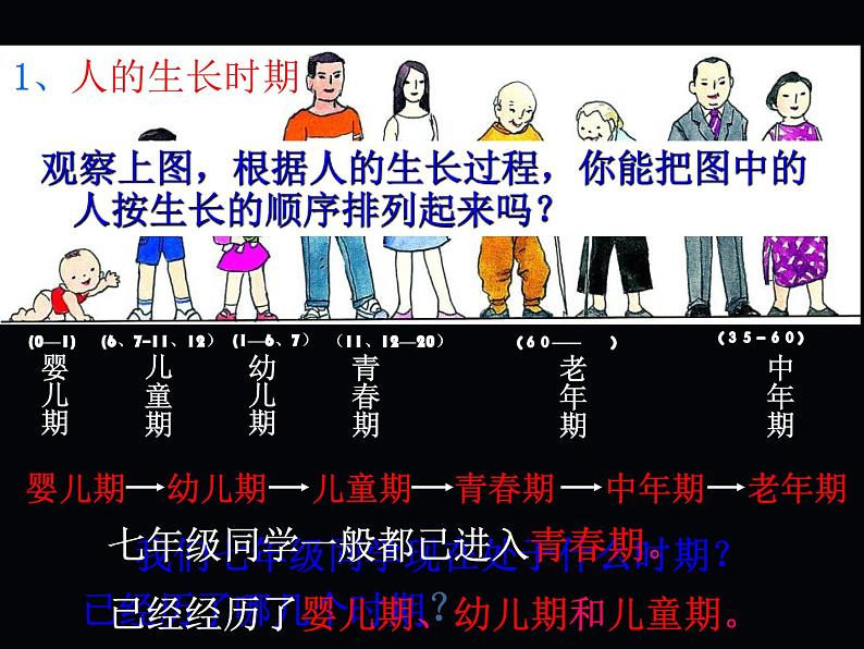 【浙教版】科学七下:1.2《走向成熟》ppt课件(2)第8页