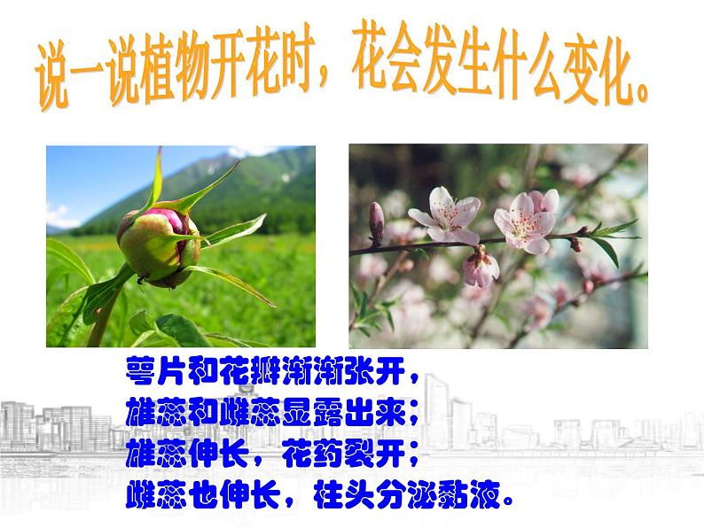 【浙教版】科学七下:1.5《植物生殖方式的多样性》ppt课件(1)第3页