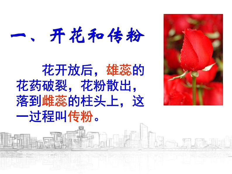【浙教版】科学七下:1.5《植物生殖方式的多样性》ppt课件(1)第4页