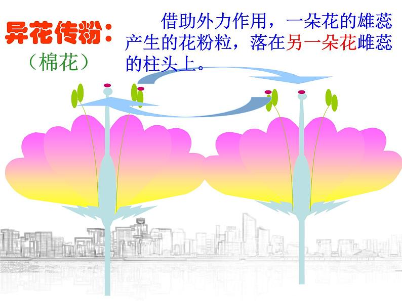【浙教版】科学七下:1.5《植物生殖方式的多样性》ppt课件(1)第6页