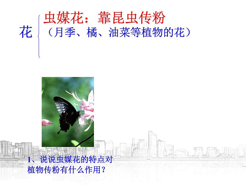 【浙教版】科学七下:1.5《植物生殖方式的多样性》ppt课件(1)第7页
