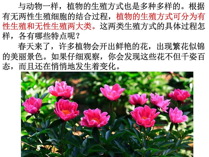 【浙教版】科学七下:1.5《植物生殖方式的多样性》ppt课件(3)第2页
