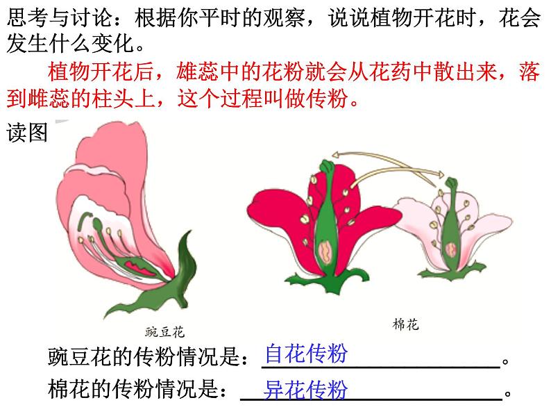【浙教版】科学七下:1.5《植物生殖方式的多样性》ppt课件(3)第3页