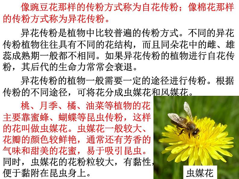 【浙教版】科学七下:1.5《植物生殖方式的多样性》ppt课件(3)第4页