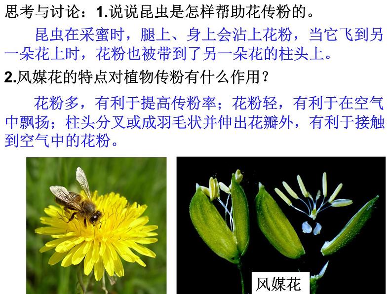 【浙教版】科学七下:1.5《植物生殖方式的多样性》ppt课件(3)第6页
