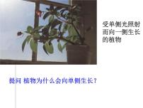 初中浙教版第1节 植物生命活动的调节课文配套ppt课件