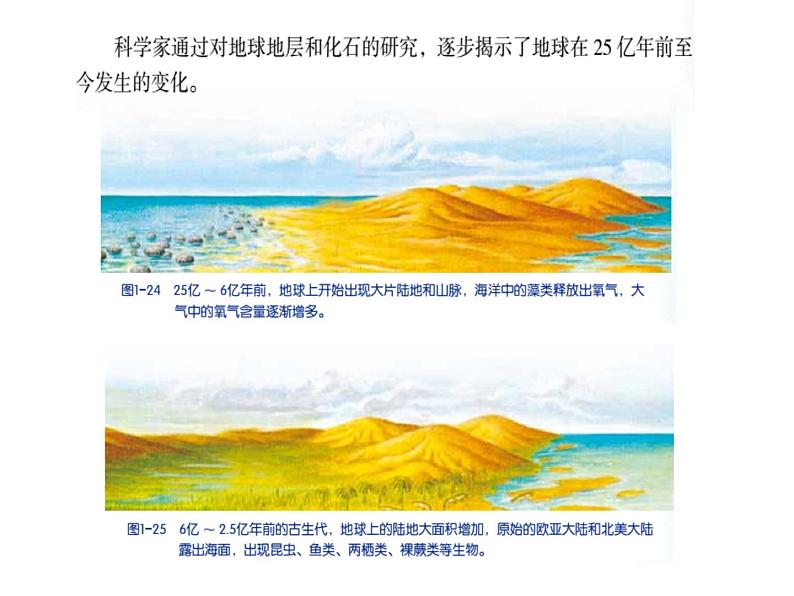 浙教版科学九下1.3《地球的演化和生命的起源》ppt课件07