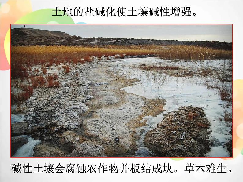 2020秋浙教版科学九上1.2《物质的酸碱性》ppt课件(2)08