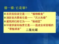 华师大版七年级下册科学 2.4二氧化碳 课件