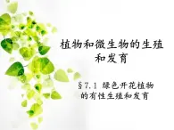 华师大版七年级下册科学 7.1绿色开花植物的有性生殖和发育 课件