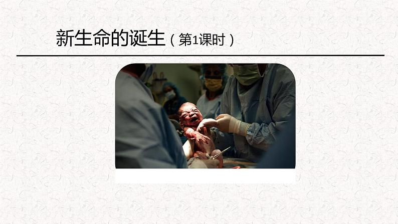 浙教版七年级下册科学 1.1新生命的诞生 课件第1页