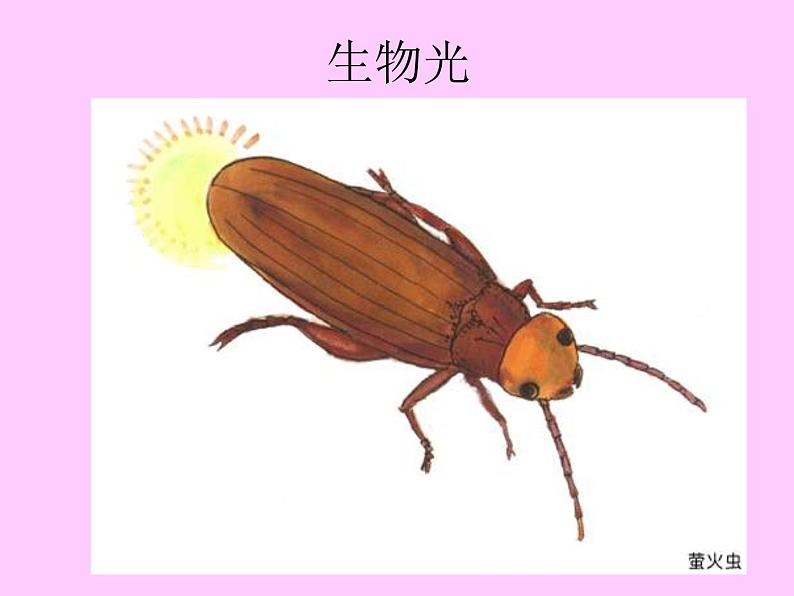 浙教版七年级下册科学 2.4光和颜色 课件03
