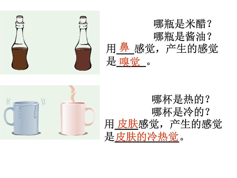 浙教版七年级下册科学 2.1感觉世界 课件第3页