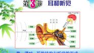 初中科学浙教版七年级下册第2章 对环境的察觉第3节 耳和听觉备课ppt课件