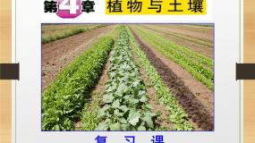 科学第4章 植物与土壤综合与测试复习ppt课件