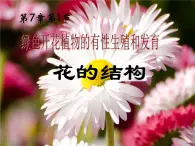 华师大版七年级下册科学 7.1绿色开花植物的有性生殖和发育 课件