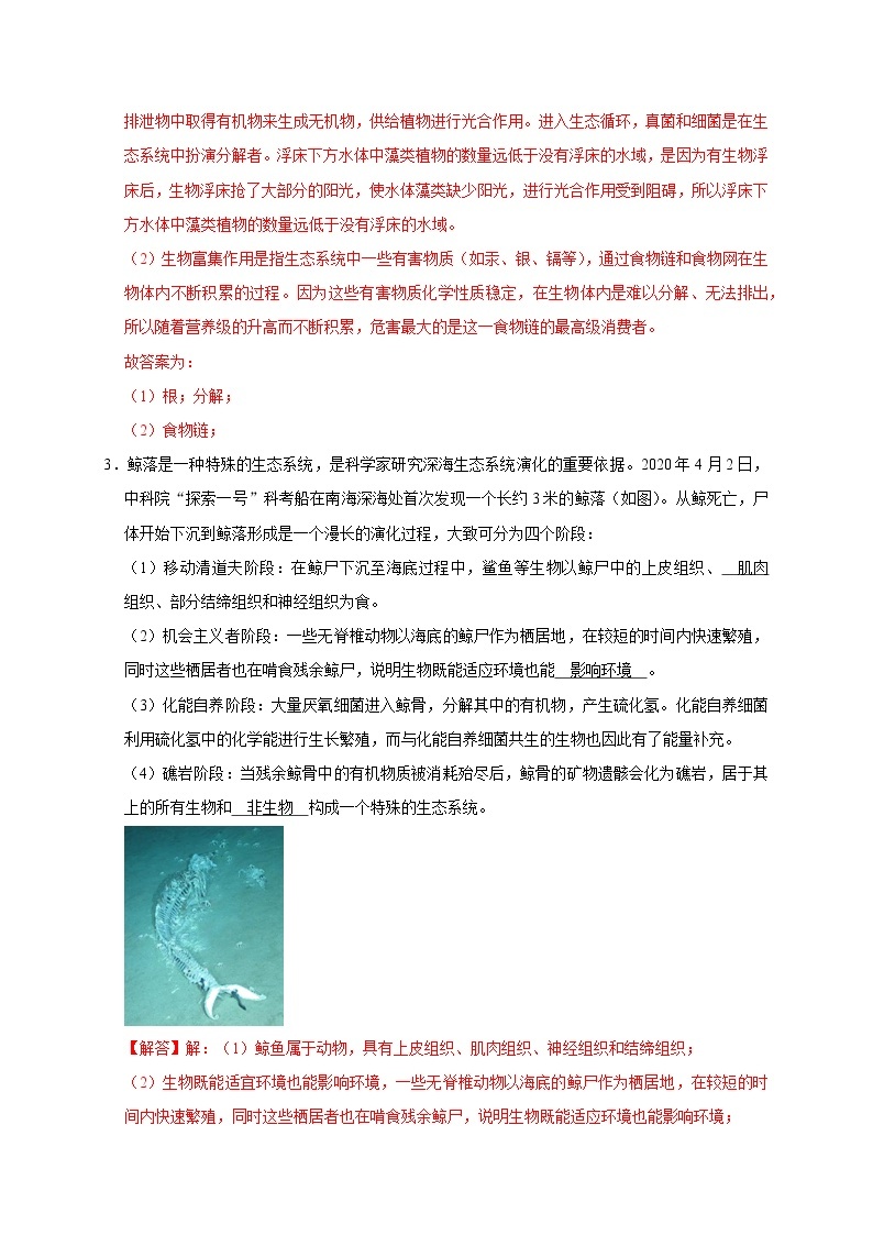 2022年浙江中考科学复习重难点精练 精练4 生物与环境02