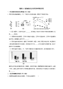 2022年浙江中考科学复习重难点精练 精练2 植物的光合作用和呼吸作用