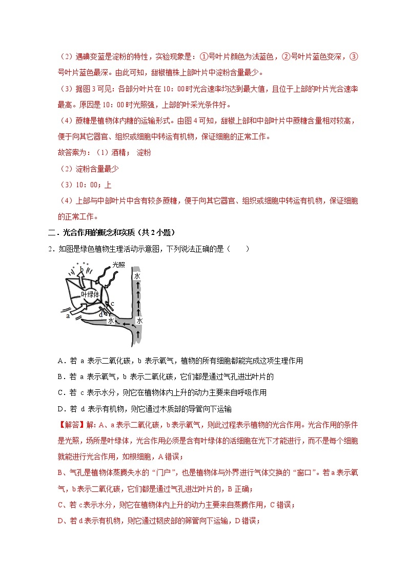 2022年浙江中考科学复习重难点精练 精练2 植物的光合作用和呼吸作用02