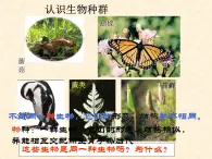 华师大版七年级下册科学 5.1种群和群落 课件