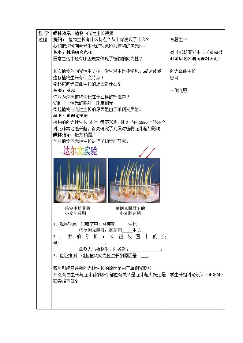 华师大版八年级下册科学 7.5植物生命活动的调节 教案02