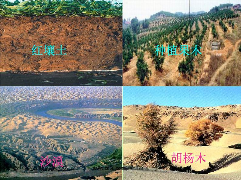 浙教版八下科学 4.2各种各样的土壤 课件01