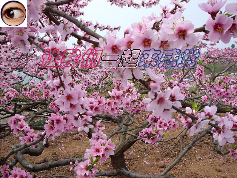 浙教版七下科学 2.1感觉世界 课件第1页