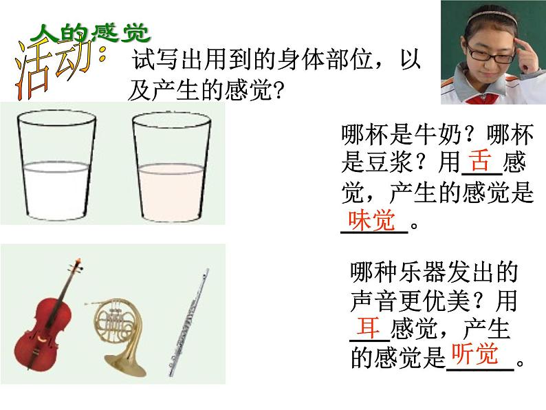 浙教版七下科学 2.1感觉世界 课件第3页