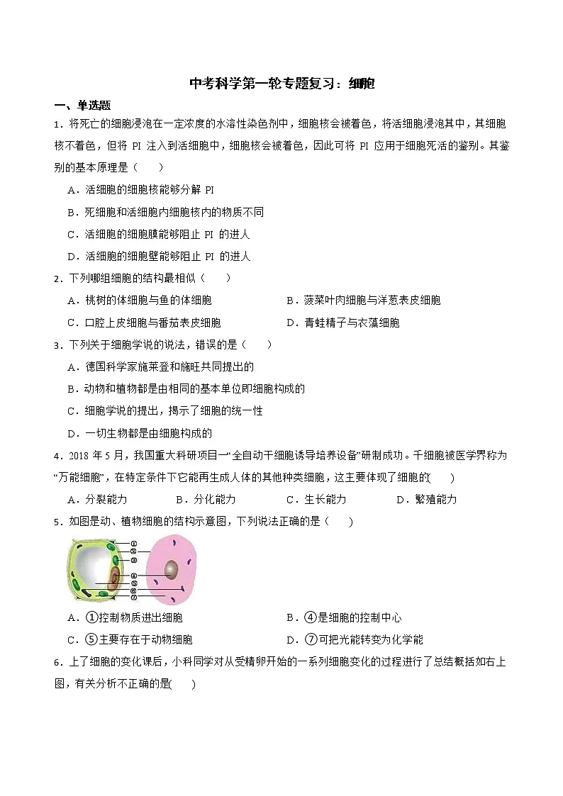 2022年中考科学第一轮专题复习:细胞解析版第1页