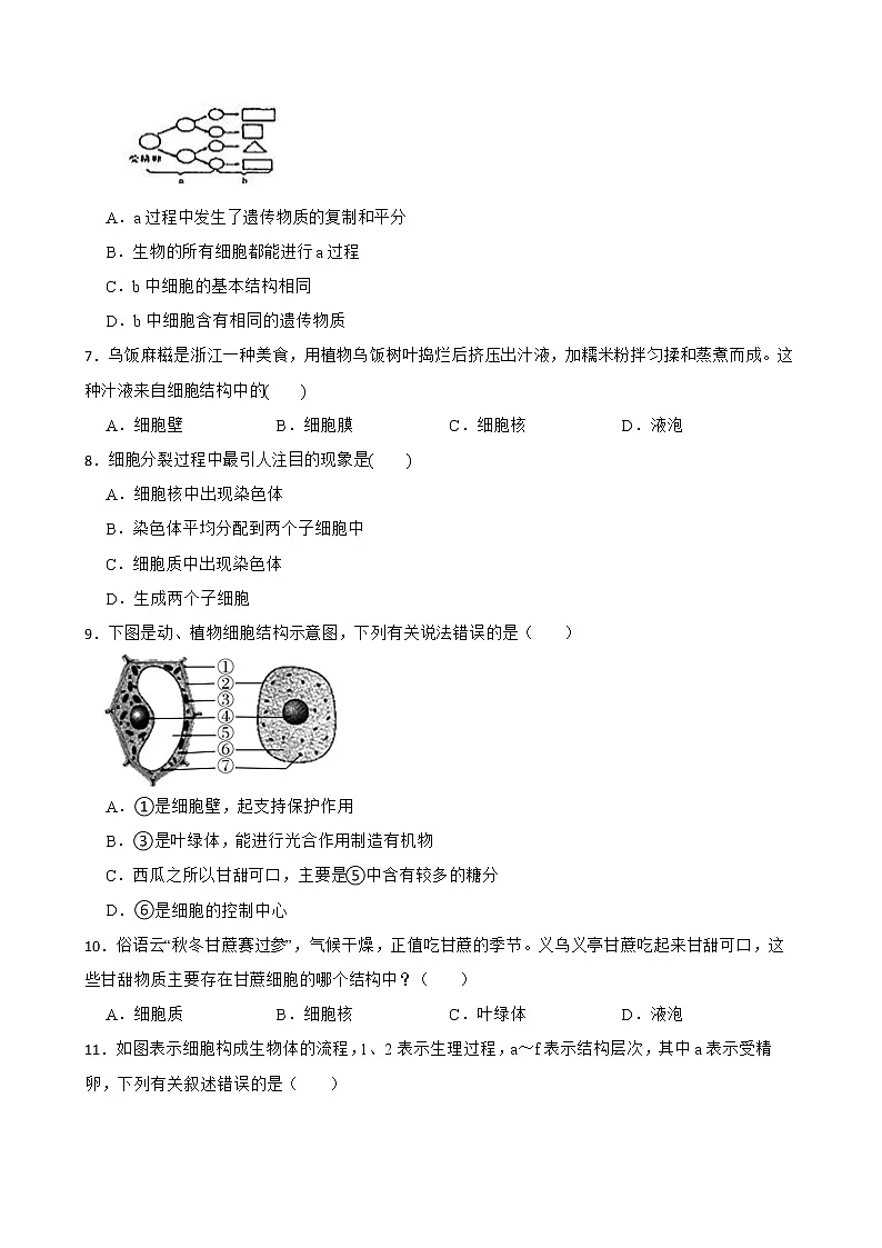 2022年中考科学第一轮专题复习:细胞解析版第2页