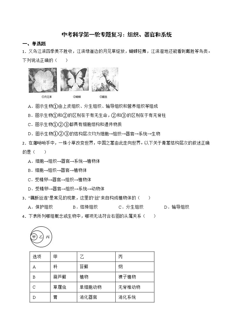 2022年中考科学第一轮专题复习:组织、器官和系统解析版第1页
